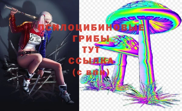 мдма Дмитров