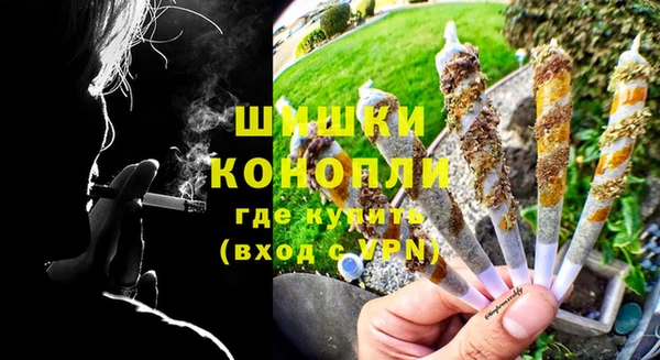 ешки Дмитриев