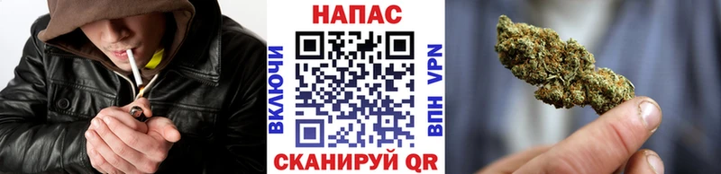 закладки  Верея  Конопля ГИДРОПОН 